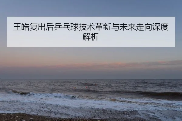 wang-hao-fu-chu-hou-ping-pang-qiu-ji-shu-ge-xin-yu-wei-lai-zou-xiang-shen-du-jie-xi-2-174.jpg