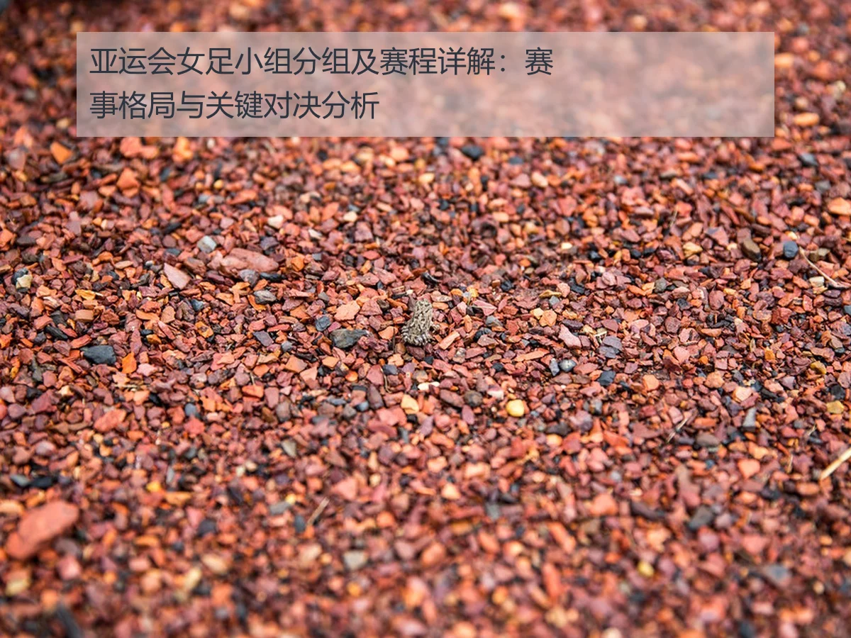 亚运会女足小组分组及赛程详解:赛事格局与关键对决分析