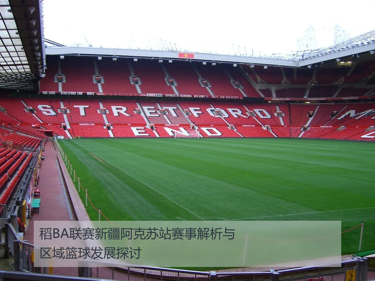 稻BA联赛新疆阿克苏站赛事解析与区域篮球发展探讨
