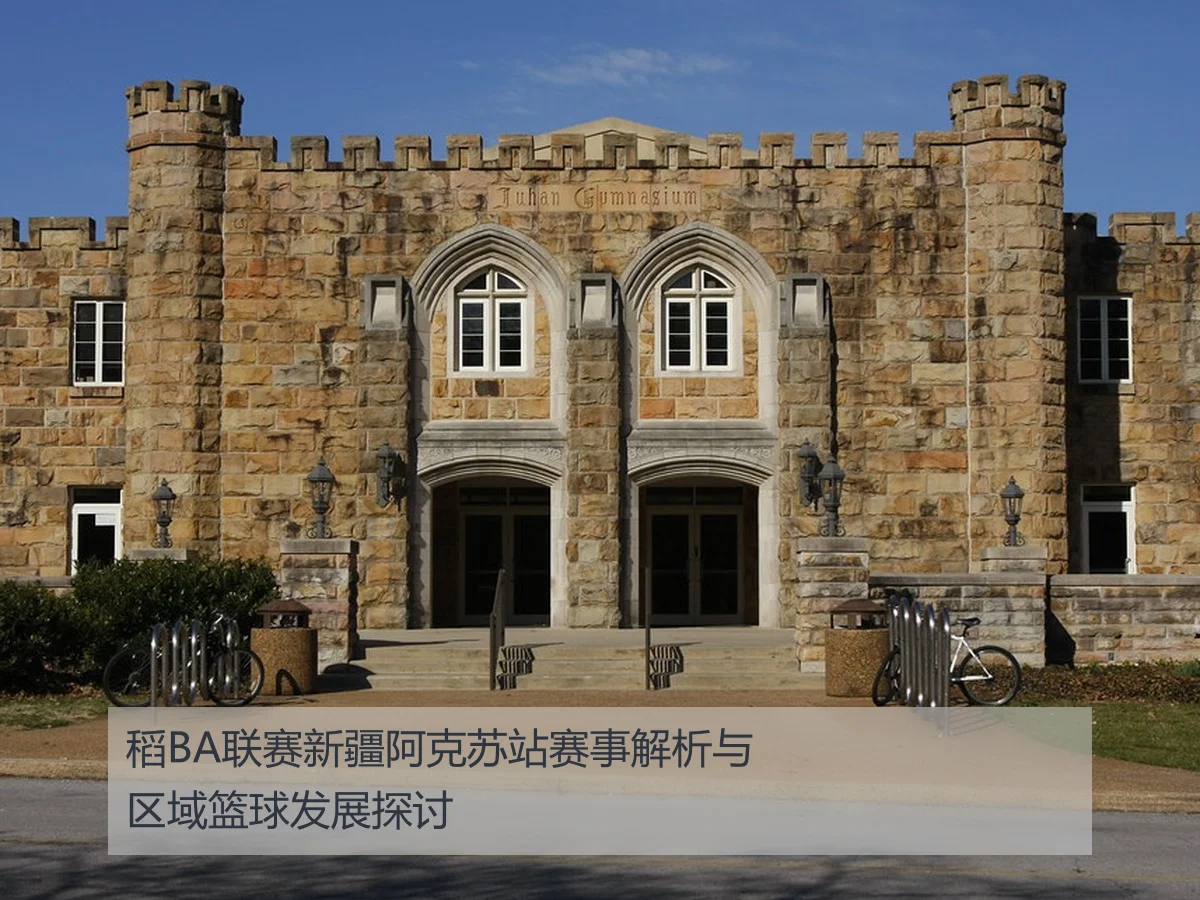 稻BA联赛新疆阿克苏站赛事解析与区域篮球发展探讨